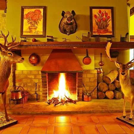 Coto Del Valle De 카졸라